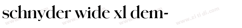 schnyder wide xl dem字体转换
